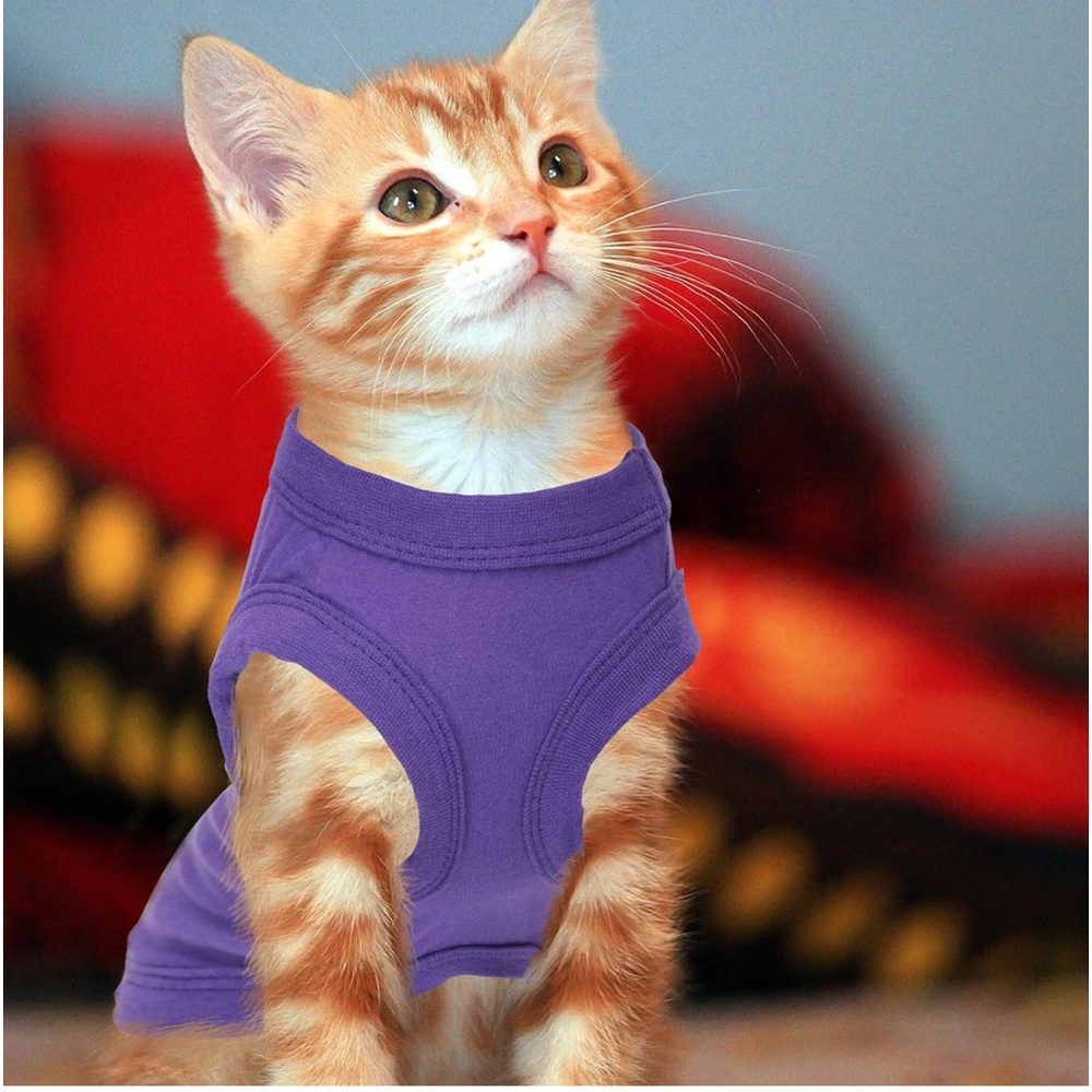 WEEWOODAY PET SHIRT
